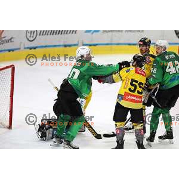 of SZ Olimpija during IceHL ice-hockey match between SZ Olimpija (SLO) and Vienna Capitals (AUT) in Tivoli Hall, Ljubljana, Slovenia on January 8, 2023