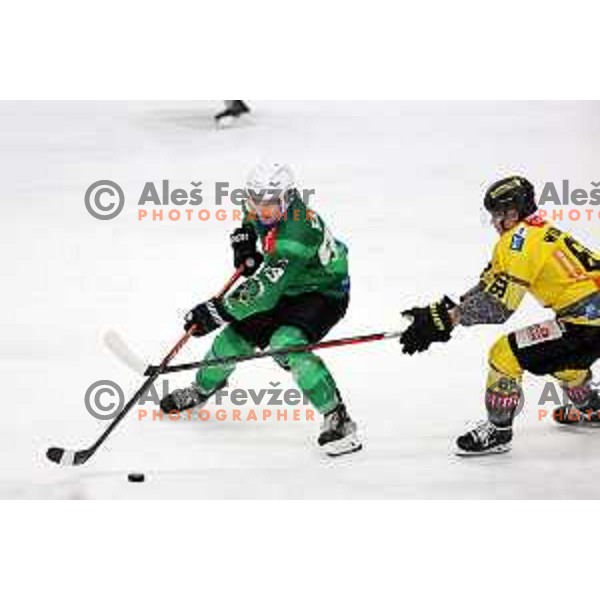 of SZ Olimpija during IceHL ice-hockey match between SZ Olimpija (SLO) and Vienna Capitals (AUT) in Tivoli Hall, Ljubljana, Slovenia on January 8, 2023
