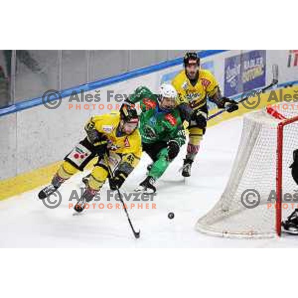 of SZ Olimpija during IceHL ice-hockey match between SZ Olimpija (SLO) and Vienna Capitals (AUT) in Tivoli Hall, Ljubljana, Slovenia on January 8, 2023