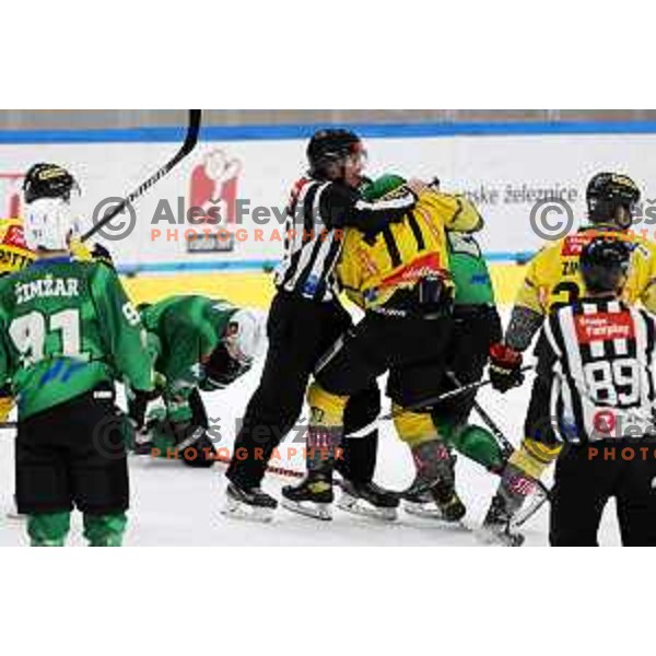 of SZ Olimpija during IceHL ice-hockey match between SZ Olimpija (SLO) and Vienna Capitals (AUT) in Tivoli Hall, Ljubljana, Slovenia on January 8, 2023