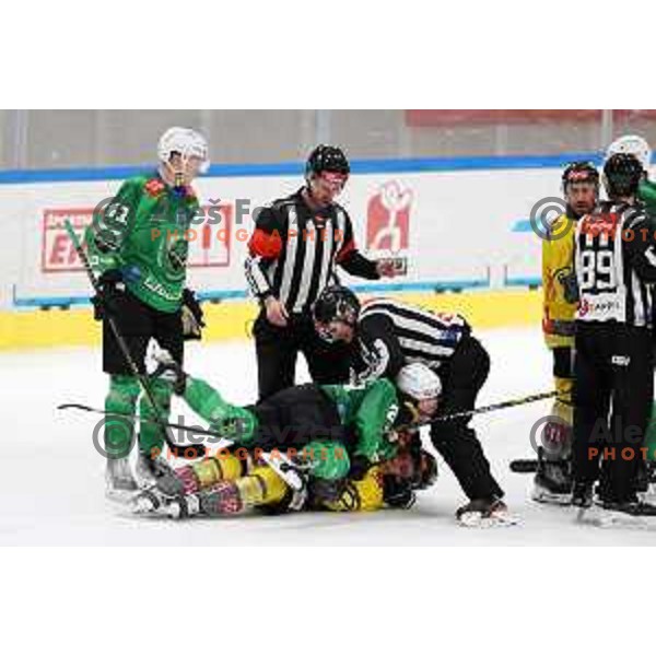 of SZ Olimpija during IceHL ice-hockey match between SZ Olimpija (SLO) and Vienna Capitals (AUT) in Tivoli Hall, Ljubljana, Slovenia on January 8, 2023