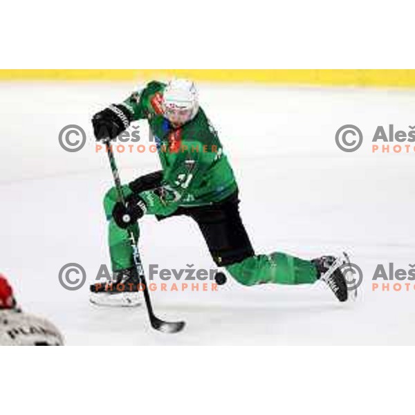 during first match of the Final of Slovenian Championship ice-hockey match between SZ Olimpija and SIJ Acroni Jesenice in Tivoli Hall, Ljubljana, Slovenia on January 10, 2023 