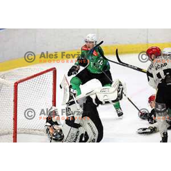 Miha Bericic scores goal during first match of the Final of Slovenian Championship ice-hockey match between SZ Olimpija and SIJ Acroni Jesenice in Tivoli Hall, Ljubljana, Slovenia on January 10, 2023 
