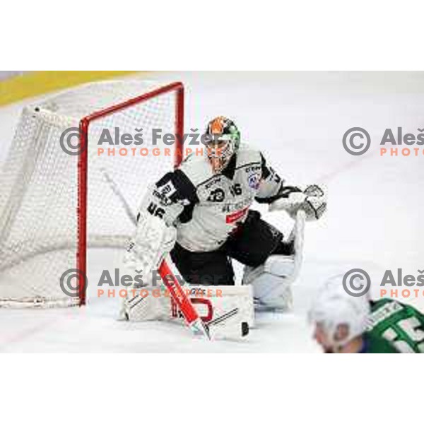 during first match of the Final of Slovenian Championship ice-hockey match between SZ Olimpija and SIJ Acroni Jesenice in Tivoli Hall, Ljubljana, Slovenia on January 10, 2023 
