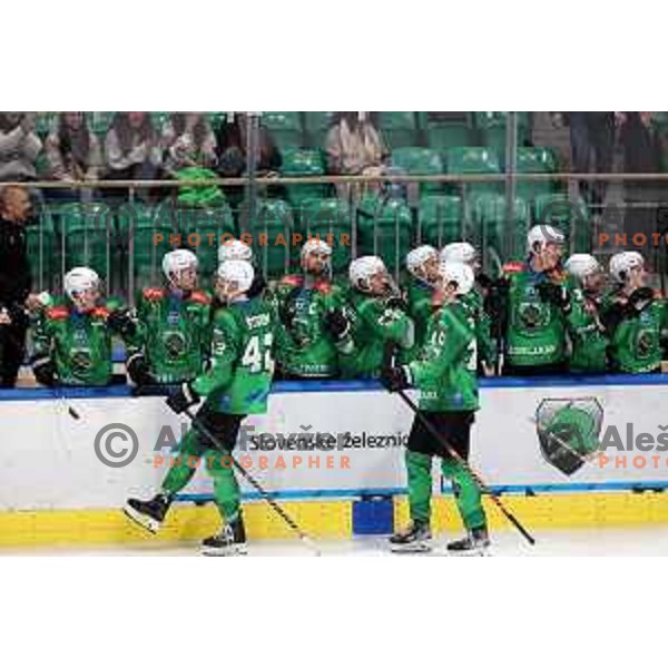 during first match of the Final of Slovenian Championship ice-hockey match between SZ Olimpija and SIJ Acroni Jesenice in Tivoli Hall, Ljubljana, Slovenia on January 10, 2023