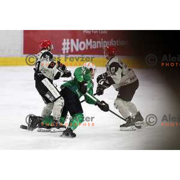 during first match of the Final of Slovenian Championship ice-hockey match between SZ Olimpija and SIJ Acroni Jesenice in Tivoli Hall, Ljubljana, Slovenia on January 10, 2023