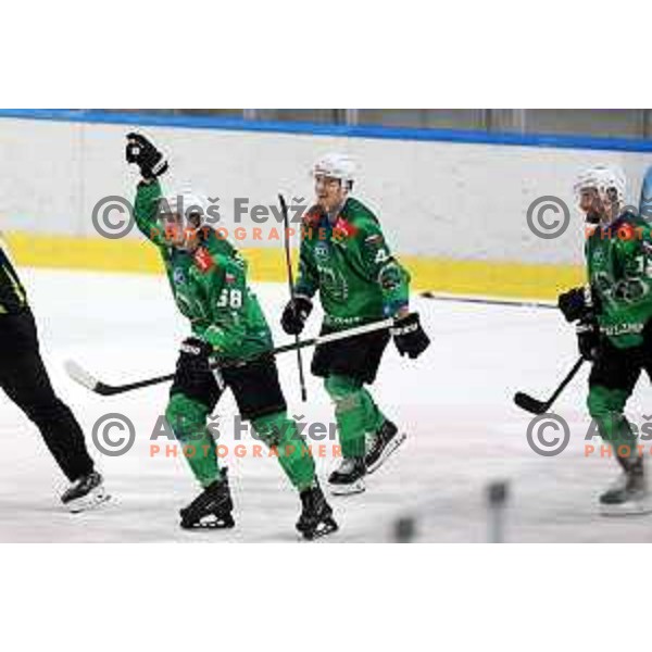 during first match of the Final of Slovenian Championship ice-hockey match between SZ Olimpija and SIJ Acroni Jesenice in Tivoli Hall, Ljubljana, Slovenia on January 10, 2023