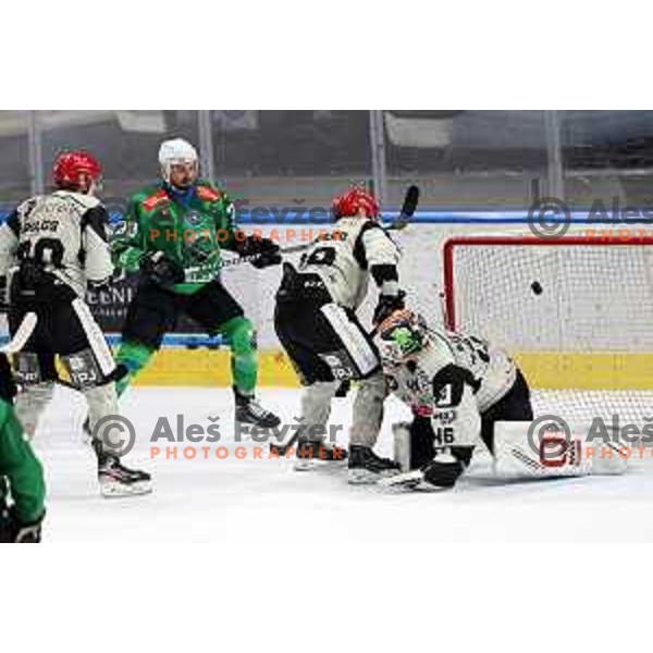during first match of the Final of Slovenian Championship ice-hockey match between SZ Olimpija and SIJ Acroni Jesenice in Tivoli Hall, Ljubljana, Slovenia on January 10, 2023