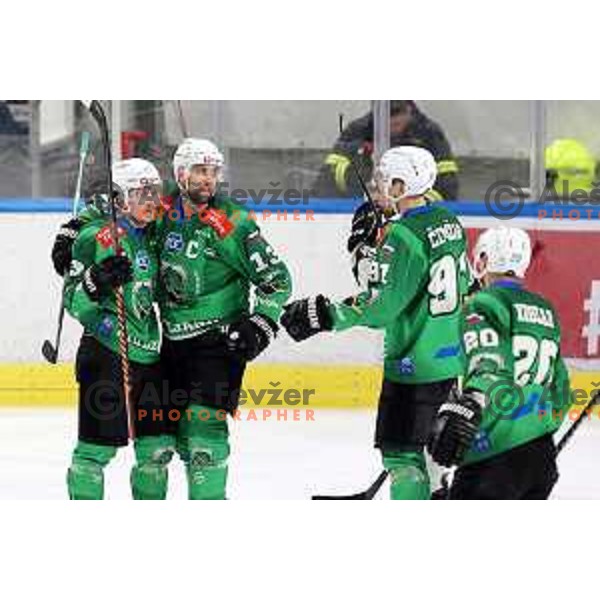 during first match of the Final of Slovenian Championship ice-hockey match between SZ Olimpija and SIJ Acroni Jesenice in Tivoli Hall, Ljubljana, Slovenia on January 10, 2023