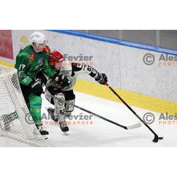 during first match of the Final of Slovenian Championship ice-hockey match between SZ Olimpija and SIJ Acroni Jesenice in Tivoli Hall, Ljubljana, Slovenia on January 10, 2023