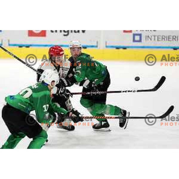 during first match of the Final of Slovenian Championship ice-hockey match between SZ Olimpija and SIJ Acroni Jesenice in Tivoli Hall, Ljubljana, Slovenia on January 10, 2023