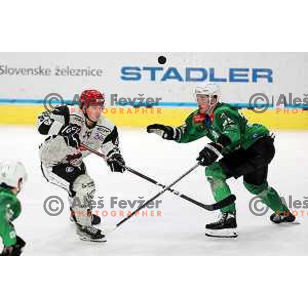 during first match of the Final of Slovenian Championship ice-hockey match between SZ Olimpija and SIJ Acroni Jesenice in Tivoli Hall, Ljubljana, Slovenia on January 10, 2023