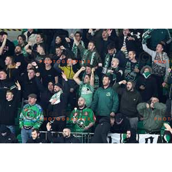 during first match of the Final of Slovenian Championship ice-hockey match between SZ Olimpija and SIJ Acroni Jesenice in Tivoli Hall, Ljubljana, Slovenia on January 10, 2023