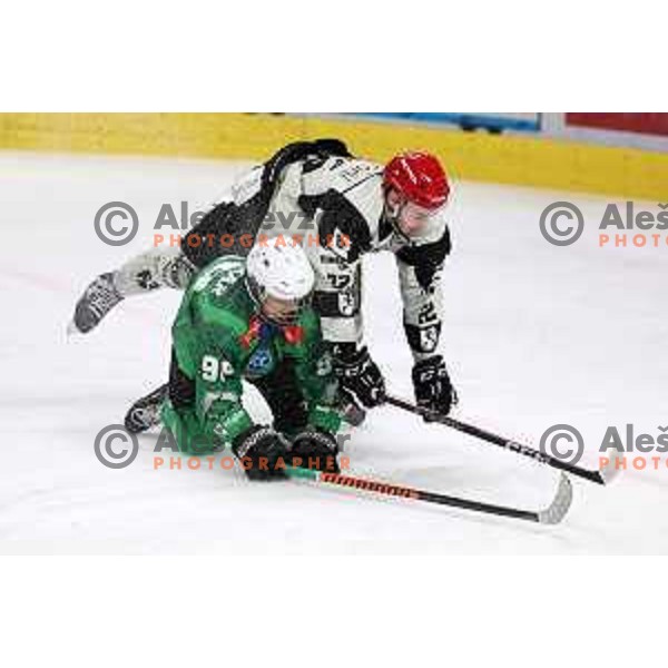 during first match of the Final of Slovenian Championship ice-hockey match between SZ Olimpija and SIJ Acroni Jesenice in Tivoli Hall, Ljubljana, Slovenia on January 10, 2023