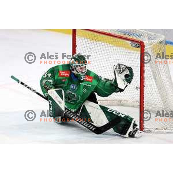 during first match of the Final of Slovenian Championship ice-hockey match between SZ Olimpija and SIJ Acroni Jesenice in Tivoli Hall, Ljubljana, Slovenia on January 10, 2023