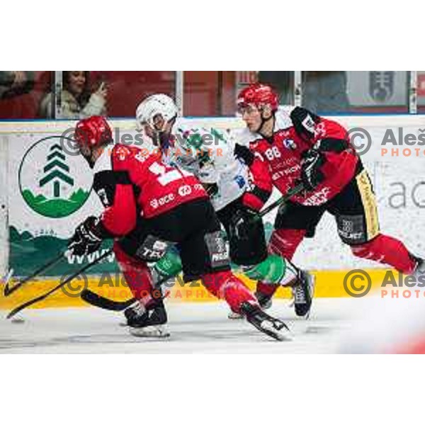 during second game of the Final of Slovenian ice-hockey Championship between SIJ Acroni Jesenice and SZ Olimpija in podmezakla Hall, Jesenice, Slovenia on January 13, 2023