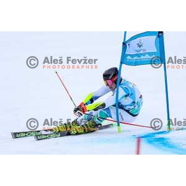 Miha Oserban (SLO), winner of boys Giant Slalom at European Youth Olympic Festival-EYOF Tarvisio 2023 on January 27, 2023