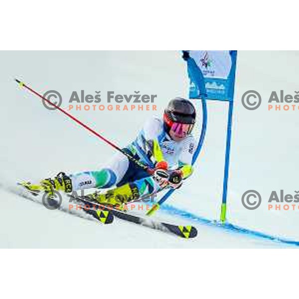 Miha Oserban (SLO), winner of boys Giant Slalom at European Youth Olympic Festival-EYOF Tarvisio 2023 on January 27, 2023