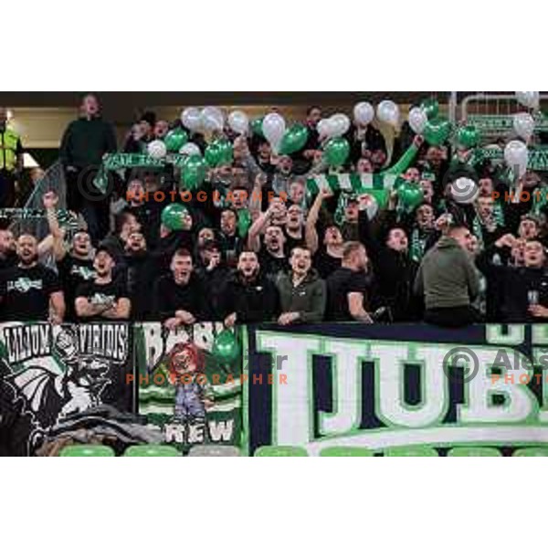 Green Dragons at Dusan Hauptman\'s jersey retirement ceremony at ABA league 2022-2033 regular season match between Cedevita Olimpija and Buducnost in Ljubljana, Slovenia on January 29, 2023