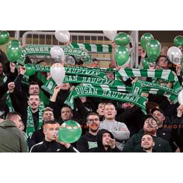 Green Dragons at Dusan Hauptman\'s jersey retirement ceremony at ABA league 2022-2033 regular season match between Cedevita Olimpija and Buducnost in Ljubljana, Slovenia on January 29, 2023