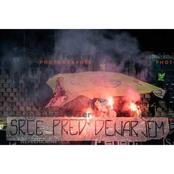 Black Gringos during Prva liga Telemach football match between Celje and Mura in Arena z’dezele, Celje, Slovenia on February 11, 2023. Photo: Jure Banfi