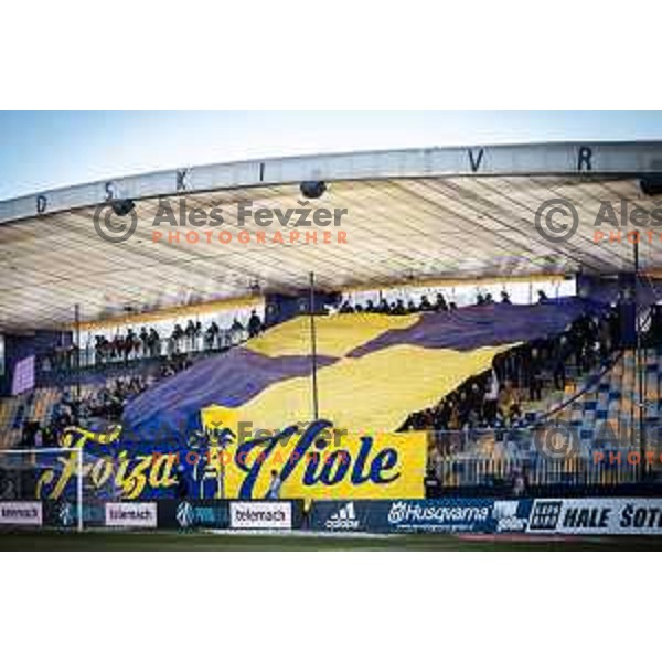 Viole during Prva liga Telemach football match between Maribor and Olimpija in Ljudski vrt, Maribor, Slovenia on February 19, 2023. Photo: Jure Banfi