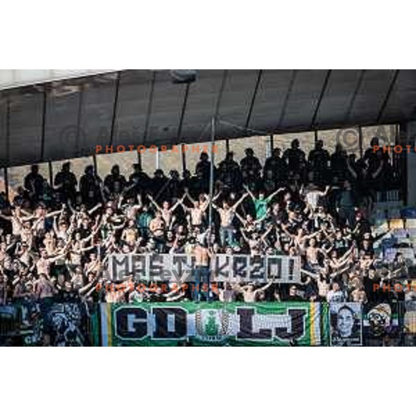 Green Dragons during Prva liga Telemach football match between Maribor and Olimpija in Ljudski vrt, Maribor, Slovenia on February 19, 2023. Photo: Jure Banfi