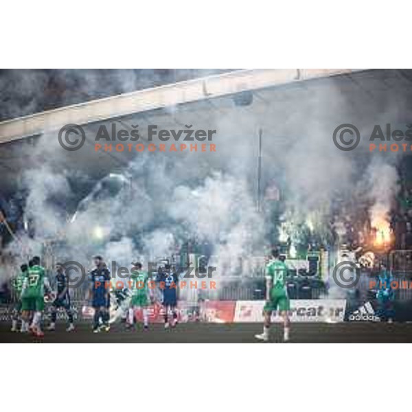 Green Dragons during Prva liga Telemach football match between Maribor and Olimpija in Ljudski vrt, Maribor, Slovenia on February 19, 2023. Photo: Jure Banfi