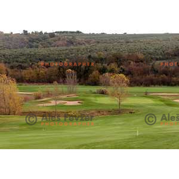 Adriatic golf course at Crveni Vrh (Monterosso), Savudrija, Croatia on November 25, 2022