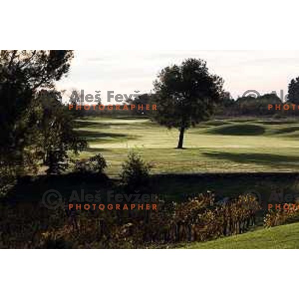 Adriatic golf course at Crveni Vrh (Monterosso), Savudrija, Croatia on November 25, 2022