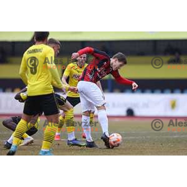of Tabor Sezana during Prva Liga Telemach 2022-2023 football match between Kalcer Radomlje and Tabor Sezana in Sportni park Domzale, Domzale, Slovenia on February 25, 2023