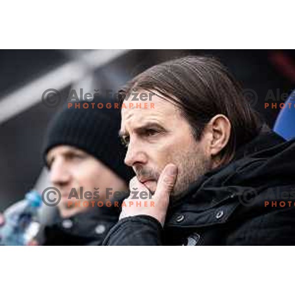 Mihael Mikic, substitute coach of Maribor during Prva liga Telemach football match between Maribor and Celje in Ljudski vrt, Maribor, Slovenia on February 26, 2023. Photo: Jure Banfi