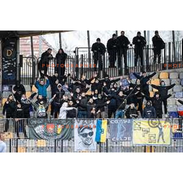 Celjski grofje during Prva liga Telemach football match between Maribor and Celje in Ljudski vrt, Maribor, Slovenia on February 26, 2023. Photo: Jure Banfi