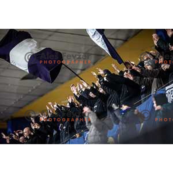 Viole during Prva liga Telemach football match between Maribor and Celje in Ljudski vrt, Maribor, Slovenia on February 26, 2023. Photo: Jure Banfi