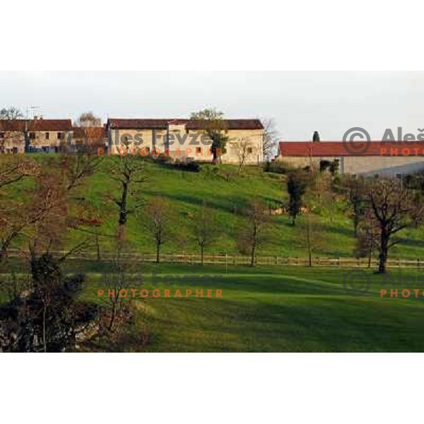 Hole nr.9 , par 4 at Lipica golf course, 9 holes, par 37, Slovenia 