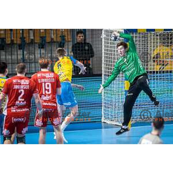 in action during EHF Champions League handball match between Celje PL and Aalborg in Dvorana Zlatorog, Celje, Slovenia on March 1, 2023. Photo: Jure Banfi