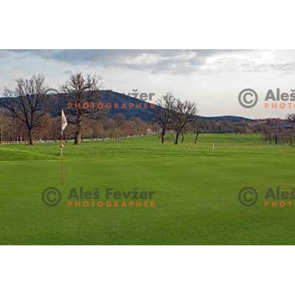Green of second hole at Lipica golf course, 9 holes, par 37, Slovenia 