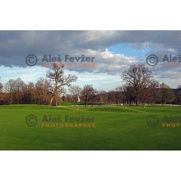 Green of second hole at Lipica golf course, 9 holes, par 37, Slovenia 