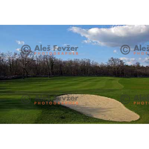 Green side bunker at hole nr.5 (351 meters, par 4) at Lipica golf course, 6239 meters, par 73, Slovenia 