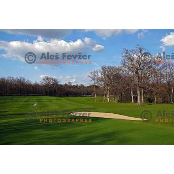 Green of hole nr.5 (351 meters, par 4) at Lipica golf course, 6239 meters, par 73, Slovenia 