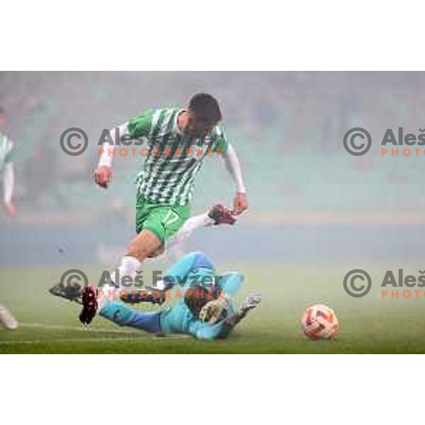 Admir Bristric in action during Prva Liga Telemach 2022-2023 football match between Olimpija and Kalcer Radomlje in SRC Stozice, Ljubljana, Slovenia on March 4, 2023