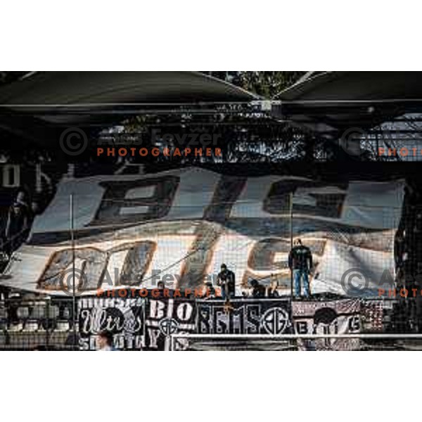 Black Gringos during Prva liga Telemach football match between Mura and Maribor in Fazanerija, Murska Sobota, Slovenia on March 5, 2023. Photo: Jure Banfi