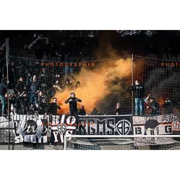 Black Gringos during Prva liga Telemach football match between Mura and Maribor in Fazanerija, Murska Sobota, Slovenia on March 5, 2023. Photo: Jure Banfi