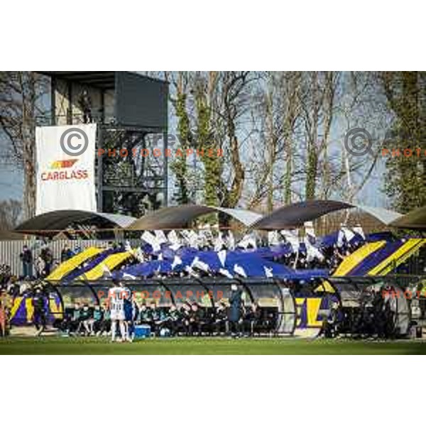 Viole during Prva liga Telemach football match between Mura and Maribor in Fazanerija, Murska Sobota, Slovenia on March 5, 2023. Photo: Jure Banfi