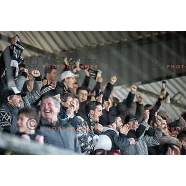 Fans of Mura celebrating during Prva liga Telemach football match between Mura and Maribor in Fazanerija, Murska Sobota, Slovenia on March 5, 2023. Photo: Jure Banfi