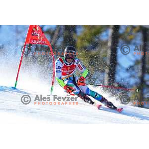 Zan Kranjec (SLO) skies in first run of AUDI FIS Ski World Cup Giant Slalom for 62.Vitranc Cup, Kranjska Gora, Slovenia on March 11, 2023