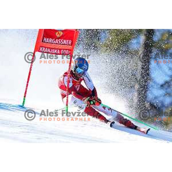 Marco Schwarz (AUT) skies in first run of AUDI FIS Ski World Cup Giant Slalom for 62.Vitranc Cup, Kranjska Gora, Slovenia on March 11, 2023