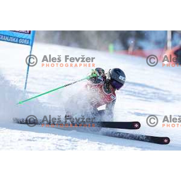 AUDI FIS Ski World Cup Giant Slalom for 62.Vitranc Cup, Kranjska Gora, Slovenia on March 11, 2023