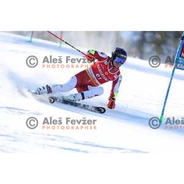 AUDI FIS Ski World Cup Giant Slalom for 62.Vitranc Cup, Kranjska Gora, Slovenia on March 11, 2023