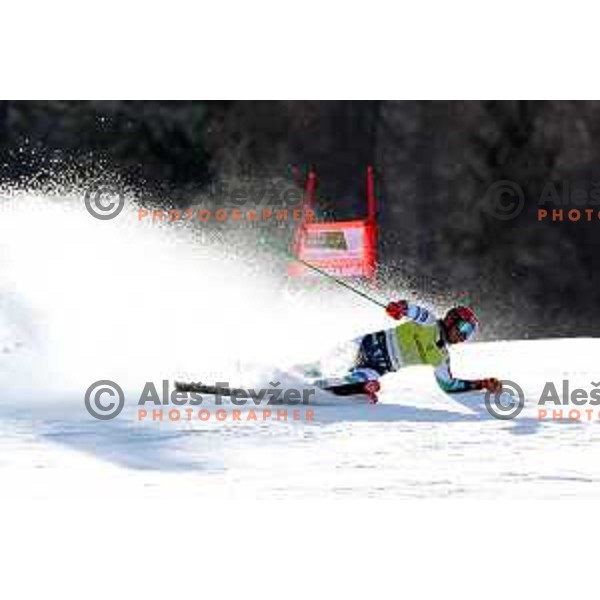 Stefan Hadalin (SLO) chrashed during first run of AUDI FIS Ski World Cup Giant Slalom for 62.Vitranc Cup, Kranjska Gora, Slovenia on March 12, 2023